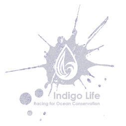 Indigo Life